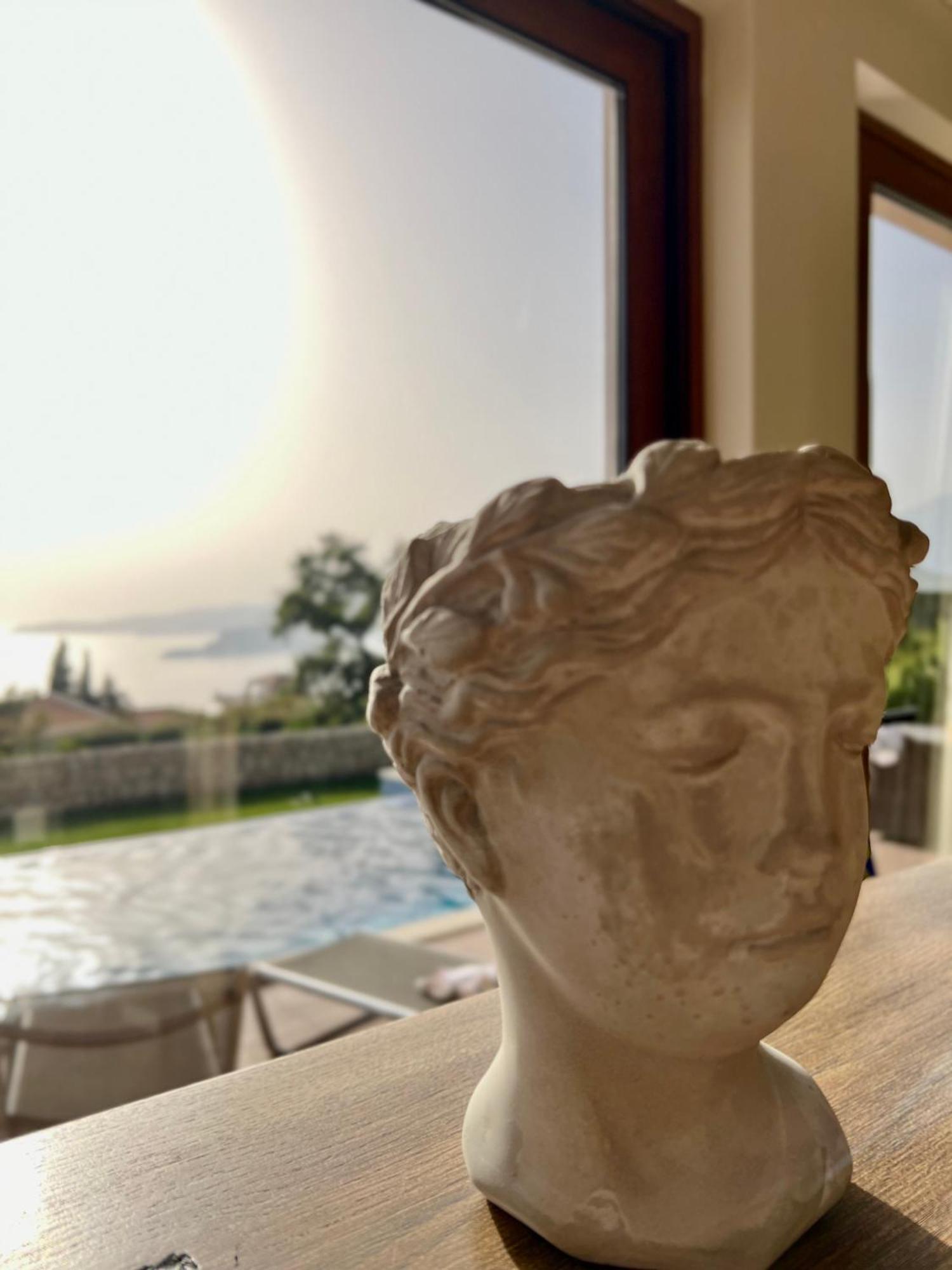 Elena Villa *