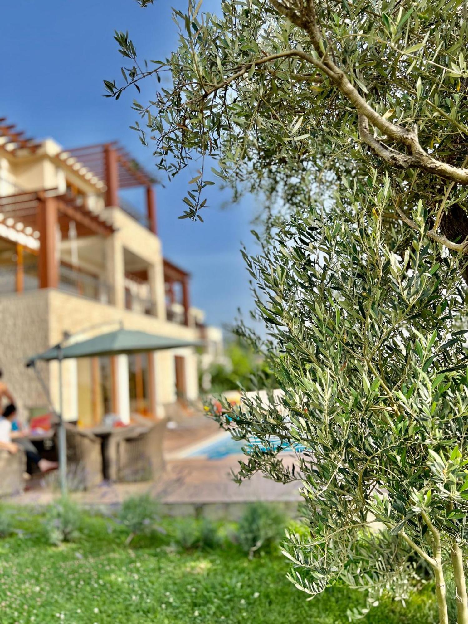 Elena Villa Budva